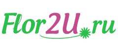 Flor2u.ru