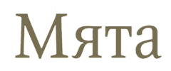 Мята