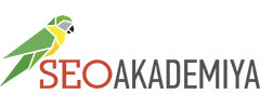 Академия SEO